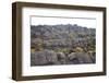 Mount Roraima Landscape (Intersection of Borders: Venezuela, Guyana, Brazil)-zanskar-Framed Photographic Print