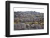 Mount Roraima Landscape (Intersection of Borders: Venezuela, Guyana, Brazil)-zanskar-Framed Photographic Print