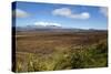 Mount Ruapehu and Mount Ngauruhoe Viewed from Highway 1 Desert Road-Stuart-Stretched Canvas