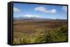 Mount Ruapehu and Mount Ngauruhoe Viewed from Highway 1 Desert Road-Stuart-Framed Stretched Canvas
