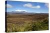 Mount Ruapehu and Mount Ngauruhoe Viewed from Highway 1 Desert Road-Stuart-Stretched Canvas