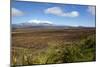 Mount Ruapehu and Mount Ngauruhoe Viewed from Highway 1 Desert Road-Stuart-Mounted Photographic Print