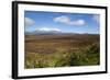 Mount Ruapehu and Mount Ngauruhoe Viewed from Highway 1 Desert Road-Stuart-Framed Photographic Print