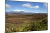 Mount Ruapehu and Mount Ngauruhoe Viewed from Highway 1 Desert Road-Stuart-Mounted Photographic Print