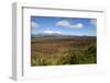 Mount Ruapehu and Mount Ngauruhoe Viewed from Highway 1 Desert Road-Stuart-Framed Photographic Print