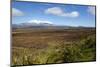 Mount Ruapehu and Mount Ngauruhoe Viewed from Highway 1 Desert Road-Stuart-Mounted Photographic Print