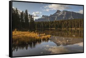 Mount Rundle reflected in Johnson Lake, Banff National Park, Alberta, Rocky Mountains, Canada-Jon Reaves-Framed Stretched Canvas