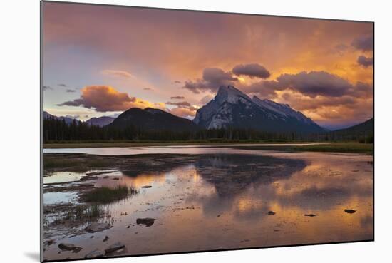 Mount Rundle Rising Above Vermillion Lakes Drive at Sunset-Neale Clark-Mounted Photographic Print
