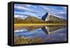 Mount Rundle Rising Above Vermillion Lakes Drive-Neale Clark-Framed Stretched Canvas