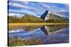 Mount Rundle Rising Above Vermillion Lakes Drive-Neale Clark-Stretched Canvas