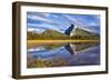 Mount Rundle Rising Above Vermillion Lakes Drive-Neale Clark-Framed Photographic Print