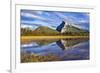 Mount Rundle Rising Above Vermillion Lakes Drive-Neale Clark-Framed Photographic Print