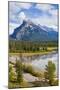 Mount Rundle Rising Above Vermillion Lakes Drive-Neale Clark-Mounted Photographic Print