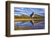 Mount Rundle Rising Above Vermillion Lakes Drive-Neale Clark-Framed Photographic Print