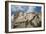 Mount Rushmore and Eagle-Galloimages Online-Framed Photographic Print