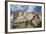 Mount Rushmore and Eagle-Galloimages Online-Framed Photographic Print