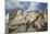 Mount Rushmore and Eagle-Galloimages Online-Mounted Photographic Print