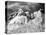 Mount Rushmore Construction-null-Stretched Canvas