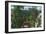 Mount Rushmore Nat'l Park, South Dakota - Panoramic View of the Park, Memorial in Distance, c.1935-Lantern Press-Framed Art Print