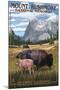 Mount Rushmore National Memorial, South Dakota - Bison Scene-Lantern Press-Mounted Art Print