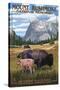 Mount Rushmore National Memorial, South Dakota - Bison Scene-Lantern Press-Stretched Canvas