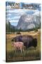 Mount Rushmore National Memorial, South Dakota - Bison Scene-Lantern Press-Stretched Canvas