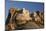Mount Rushmore National Monument in South Dakota-Paul Souders-Mounted Photographic Print