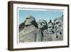 Mount Rushmore National Park, South Dakota, View of the Presidential Memorial-Lantern Press-Framed Art Print