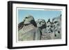 Mount Rushmore National Park, South Dakota, View of the Presidential Memorial-Lantern Press-Framed Art Print