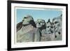 Mount Rushmore National Park, South Dakota, View of the Presidential Memorial-Lantern Press-Framed Premium Giclee Print