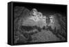 Mount Rushmore South Dakota Dawn BW-Steve Gadomski-Framed Stretched Canvas