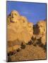 Mount Rushmore, South Dakota, USA-Walter Bibikow-Mounted Premium Photographic Print