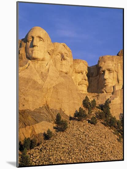 Mount Rushmore, South Dakota, USA-Walter Bibikow-Mounted Photographic Print