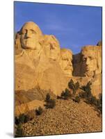 Mount Rushmore, South Dakota, USA-Walter Bibikow-Mounted Photographic Print