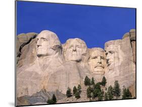 Mount Rushmore, South Dakota, USA-Walter Bibikow-Mounted Photographic Print