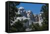 Mount Rushmore, South Dakota, Usa-Michael Runkel-Framed Stretched Canvas