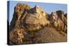 Mount Rushmore, South Dakota-Paul Souders-Stretched Canvas