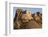 Mount Rushmore, South Dakota-Paul Souders-Framed Photographic Print