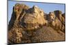 Mount Rushmore, South Dakota-Paul Souders-Mounted Photographic Print