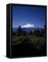 Mount Shasta,- 14,162' - California's Highest-Carol Highsmith-Framed Stretched Canvas