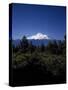 Mount Shasta,- 14,162' - California's Highest-Carol Highsmith-Stretched Canvas