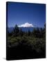 Mount Shasta,- 14,162' - California's Highest-Carol Highsmith-Stretched Canvas