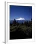 Mount Shasta,- 14,162' - California's Highest-Carol Highsmith-Framed Photo