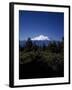 Mount Shasta,- 14,162' - California's Highest-Carol Highsmith-Framed Photo