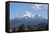 Mount Shasta - Cascade Range - Siskiyou County, California-Carol Highsmith-Framed Stretched Canvas