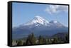 Mount Shasta - Cascade Range - Siskiyou County, California-Carol Highsmith-Framed Stretched Canvas
