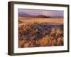 Mount Shasta from Tule Lakes, Kalamath Falls National Wildlife Reserve, Oregon, USA-William Sutton-Framed Photographic Print