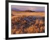 Mount Shasta from Tule Lakes, Kalamath Falls National Wildlife Reserve, Oregon, USA-William Sutton-Framed Photographic Print