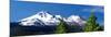 Mount Shasta Morning Vista II-Douglas Taylor-Mounted Art Print