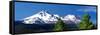 Mount Shasta Morning Vista II-Douglas Taylor-Framed Stretched Canvas